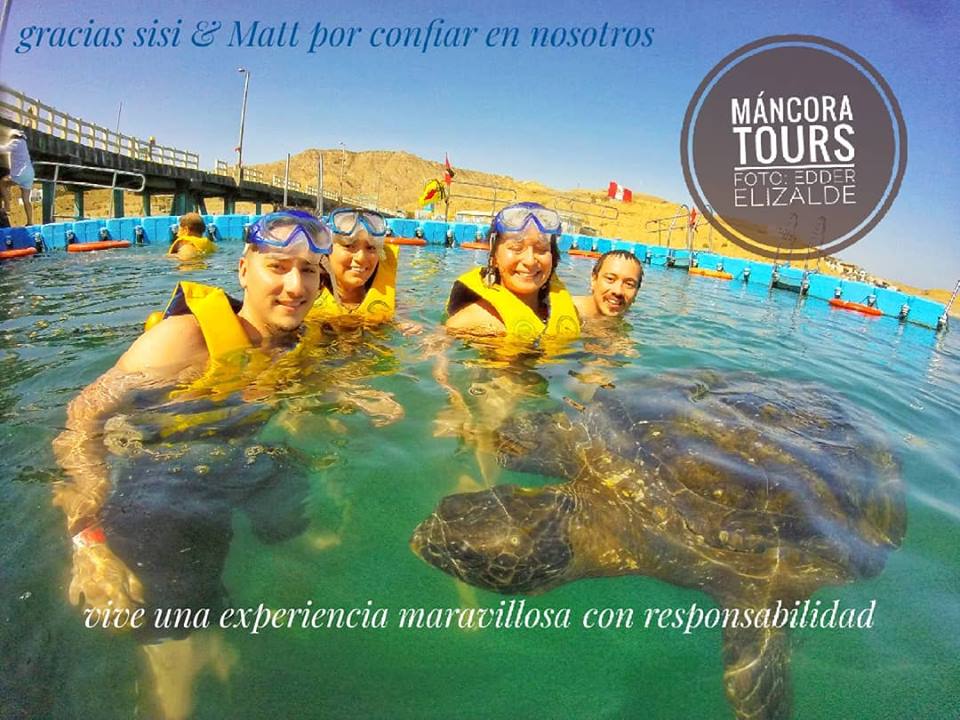 Tortugas marinas | el ñuro; Mancora tours